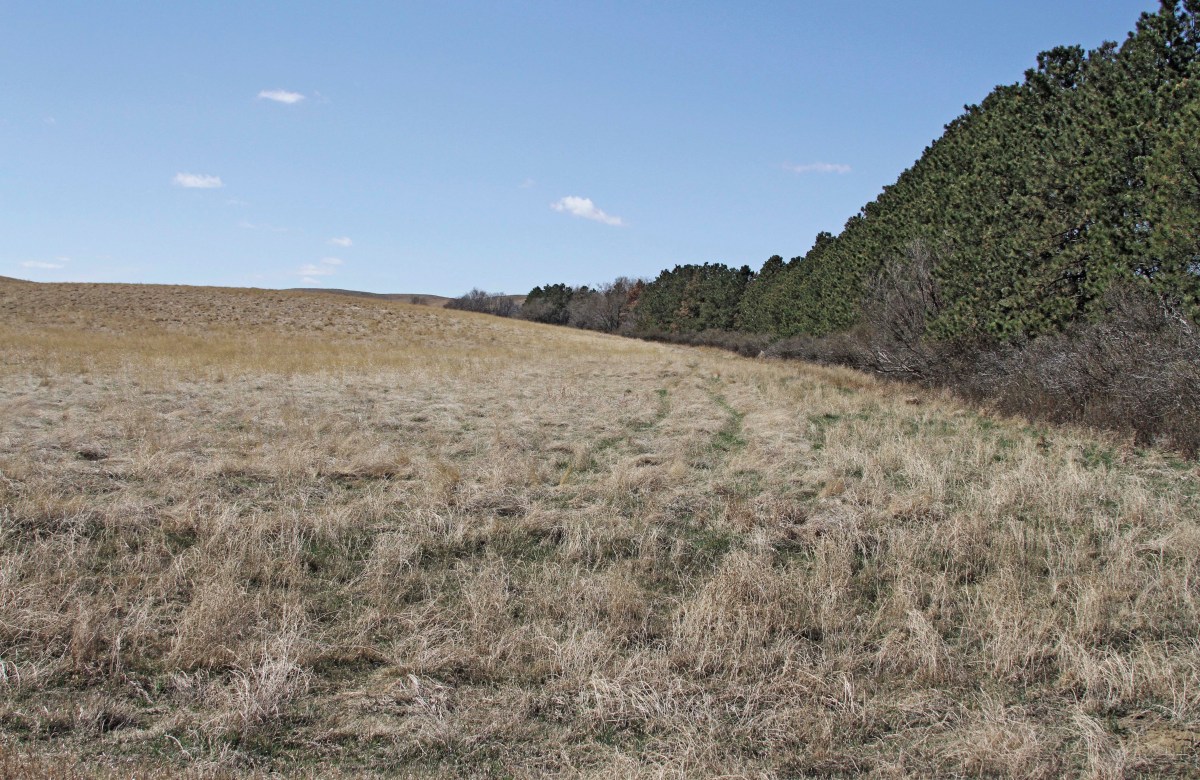 Gift to sportsmen: Longtime teacher donates 1,120 acres of family land to Game and Fish to establish Wildlife Management&nbsp;Area