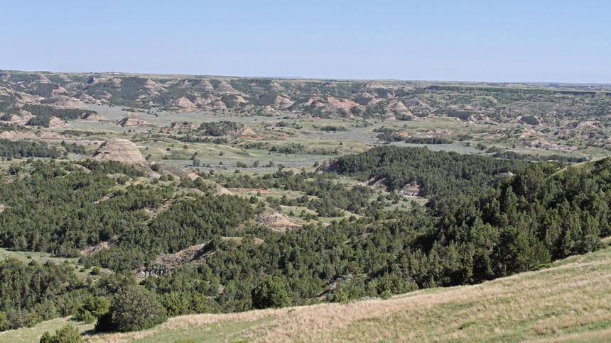 Exec: Davis Refinery Not Affected by Dakota Prairie Refinery&nbsp;Sale