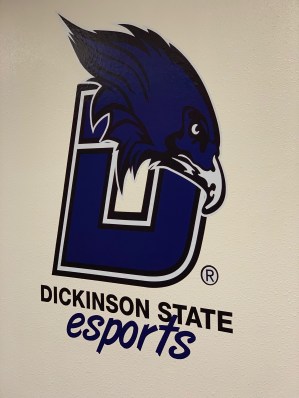 050119 DSU esports logo